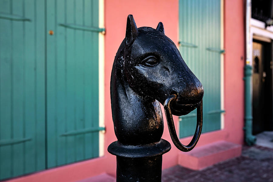New Orleans Digital Art - Hitching Post, New Orleans, La by Claudia Uripos
