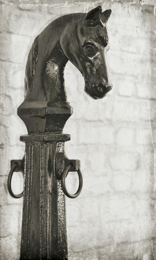 Hitching Post Texture Photograph by JAMART Photography