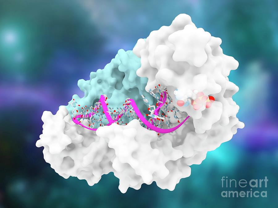 Hiv-1 Reverse Transcriptase And Drug Delivery Photograph by Ramon Andrade 3dciencia/science Photo Library