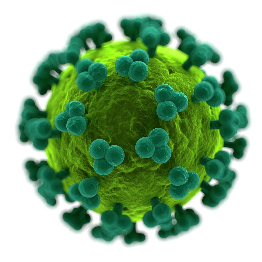 Hiv Particle, Artwork Digital Art by Science Photo Library - Sciepro
