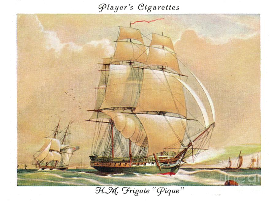 Hmfrigate Pique Drawing by Print Collector