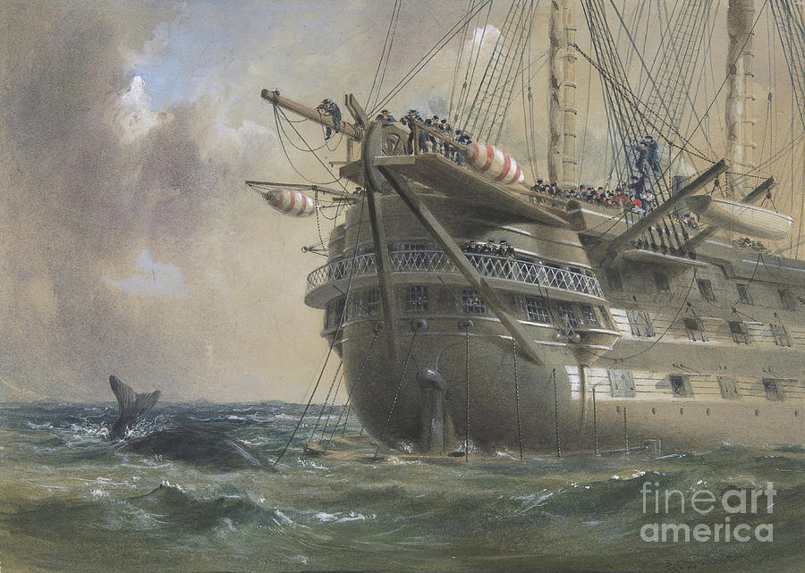 Hms Agamemnon Laying The Atlantic Drawing by Heritage Images