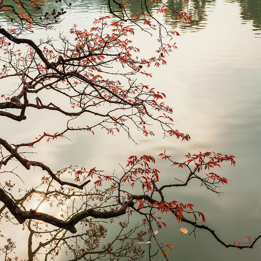 Image Digital Art - Hoan Kiem Lake, Hanoi, Vietnam by Luigi Vaccarella