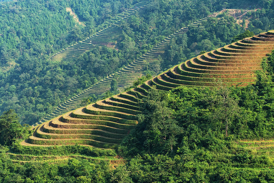 Landscape Digital Art - Hoang Lien Son Mountains, Vietnam by Heeb Photos