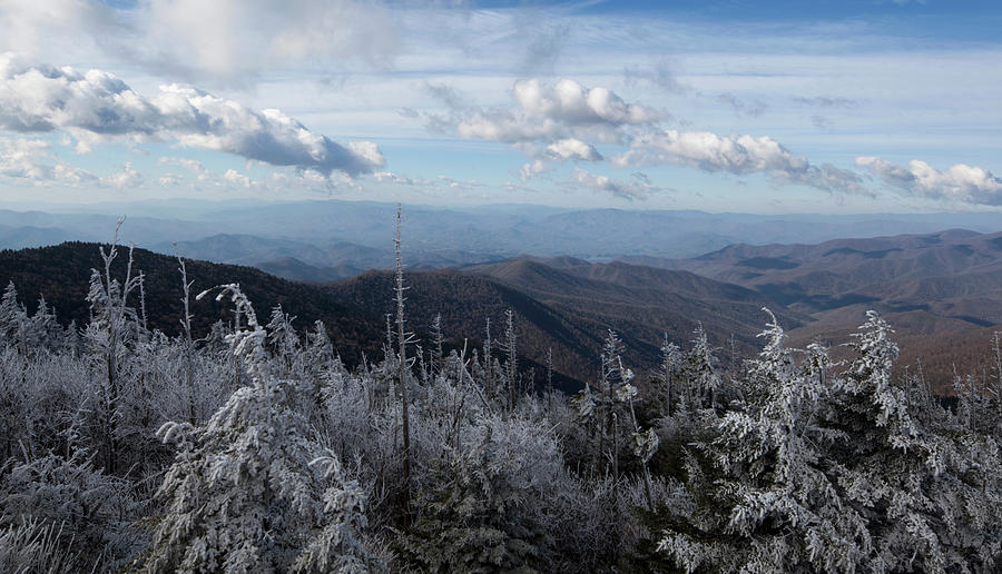 Hoar Frost, Clingmans Dome Photograph by Jerry Whaley