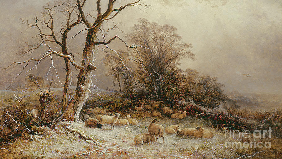 Sheep Painting - Hoar Frost by George Augustus Williams