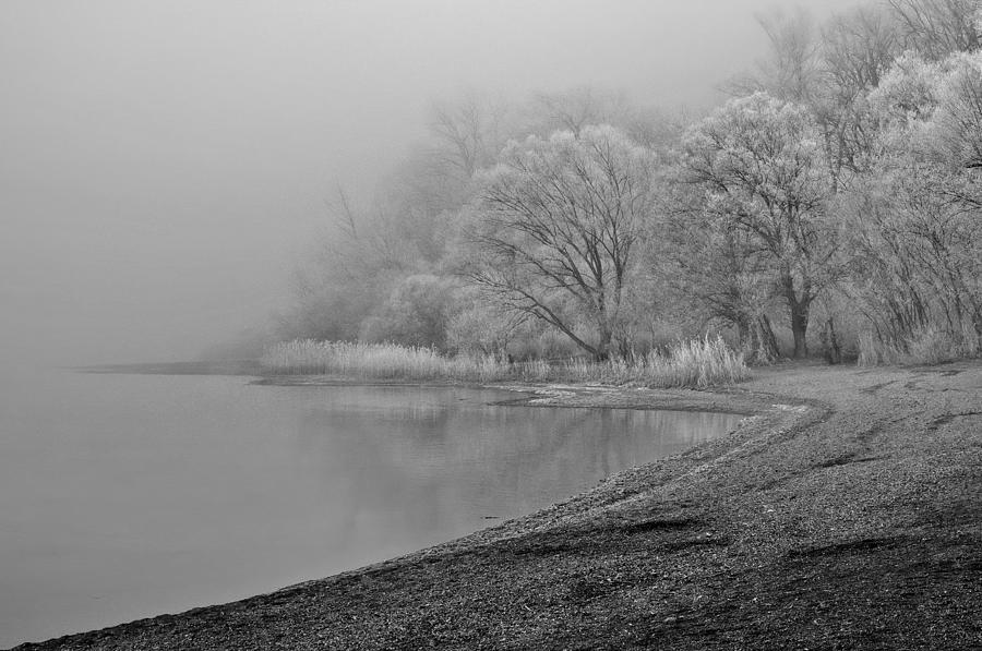 Hoarfrost And Fog Photograph by Hans Peter Rank