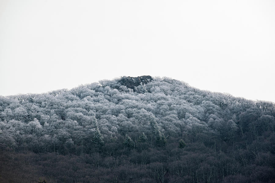 Hoarfrost on the Mountain Photograph by Mark Duehmig