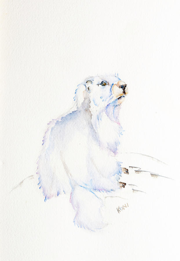 Hoary Marmot by Karen Rispin Hoary Marmot by Karen Rispin