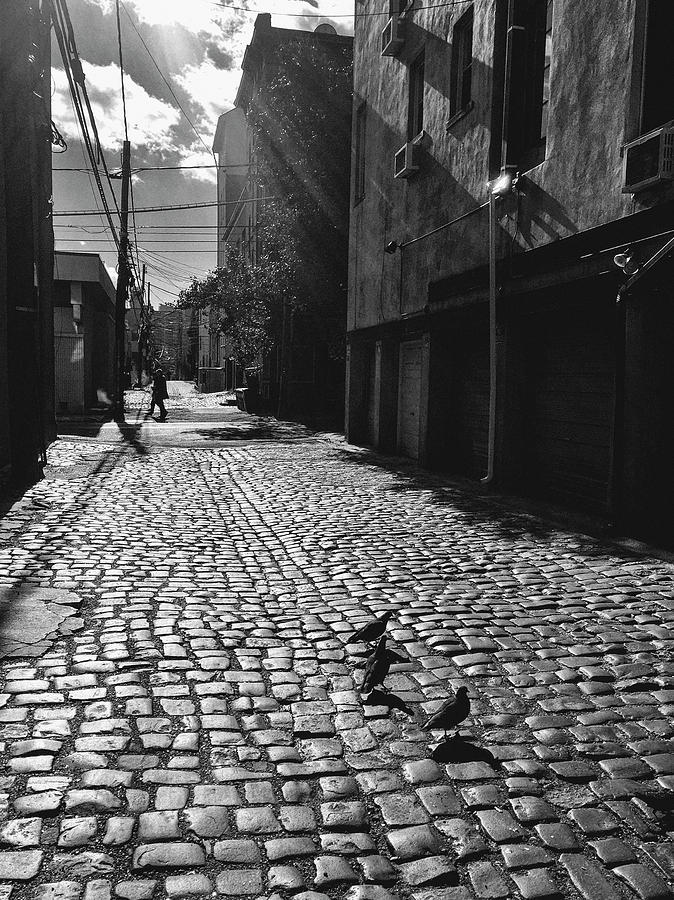 Hoboken Cobblestones by Frank Winters Hoboken Cobblestones by Frank Winters