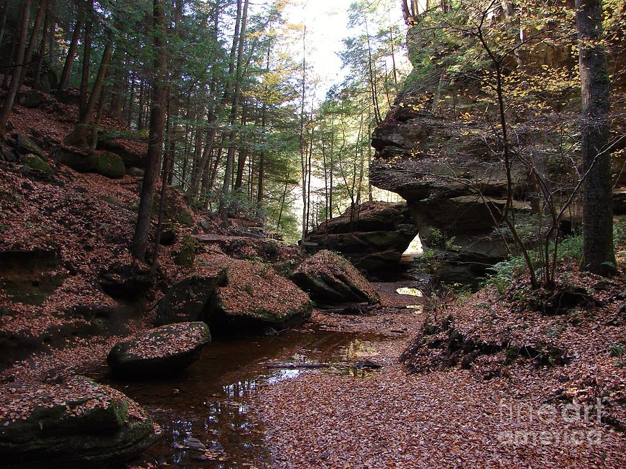 Hocking Hills in Autumn 1 Photograph by Lee Antle