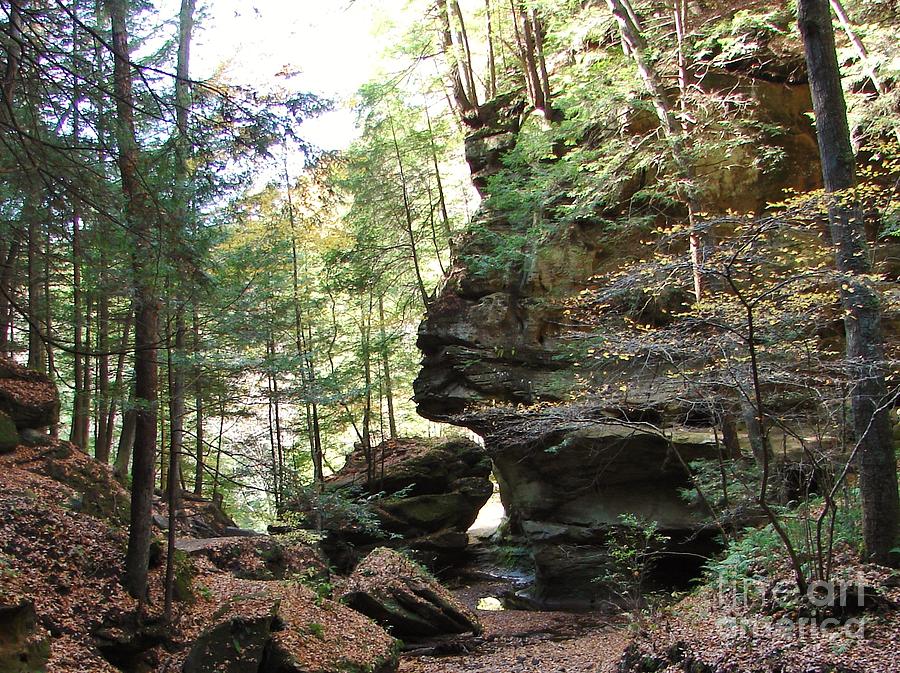 Hocking Hills in Autumn 2 Photograph by Lee Antle