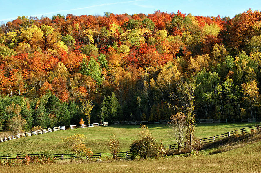 Hockley Valley Fall Glory Photograph