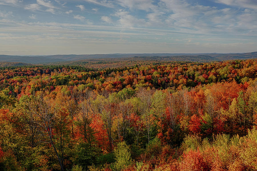 Hogback Mountain Scenic Overlook Marlboro VT Vermont Fall Foliage Autumn Trees Photograph by Toby McGuire