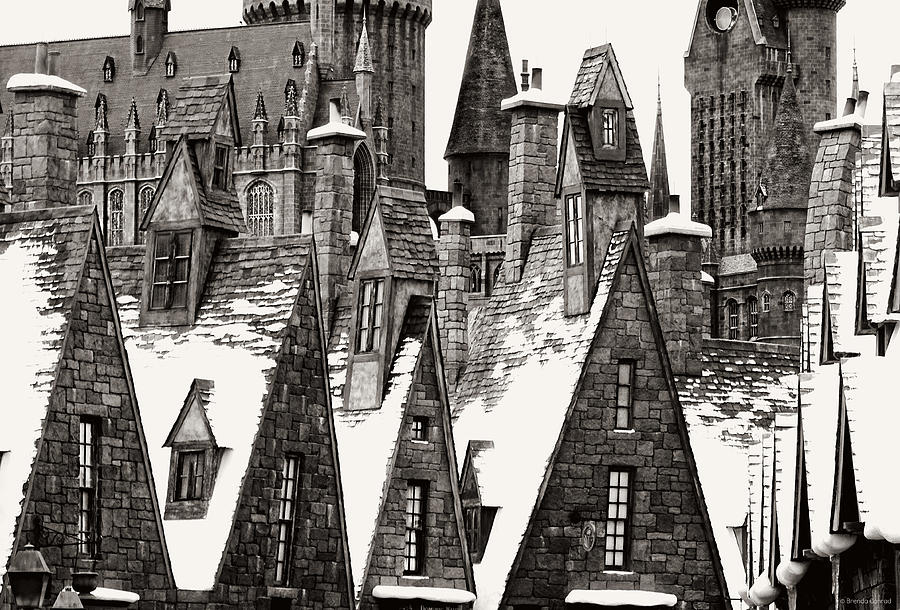 Hogsmeade Textures Photograph by Dark Whimsy