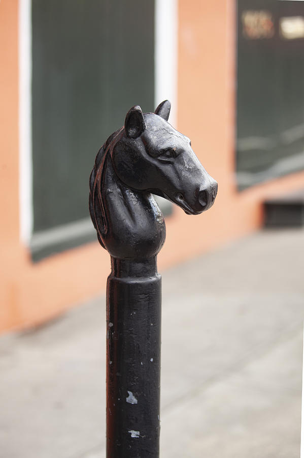 New Orleans Photograph - Hold Your Horses by Art Block Collections