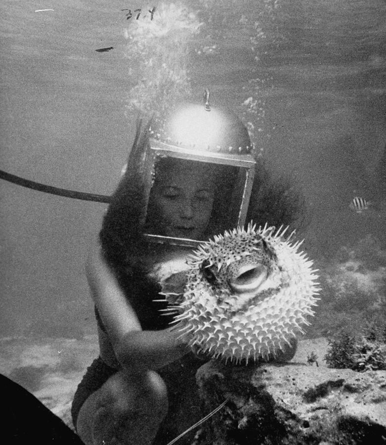 Nature Photograph - Holding a Blowfish by Peter Stackpole
