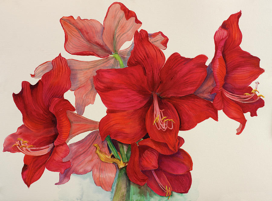 Holiday Amaryllis Painting by Joanne Porter