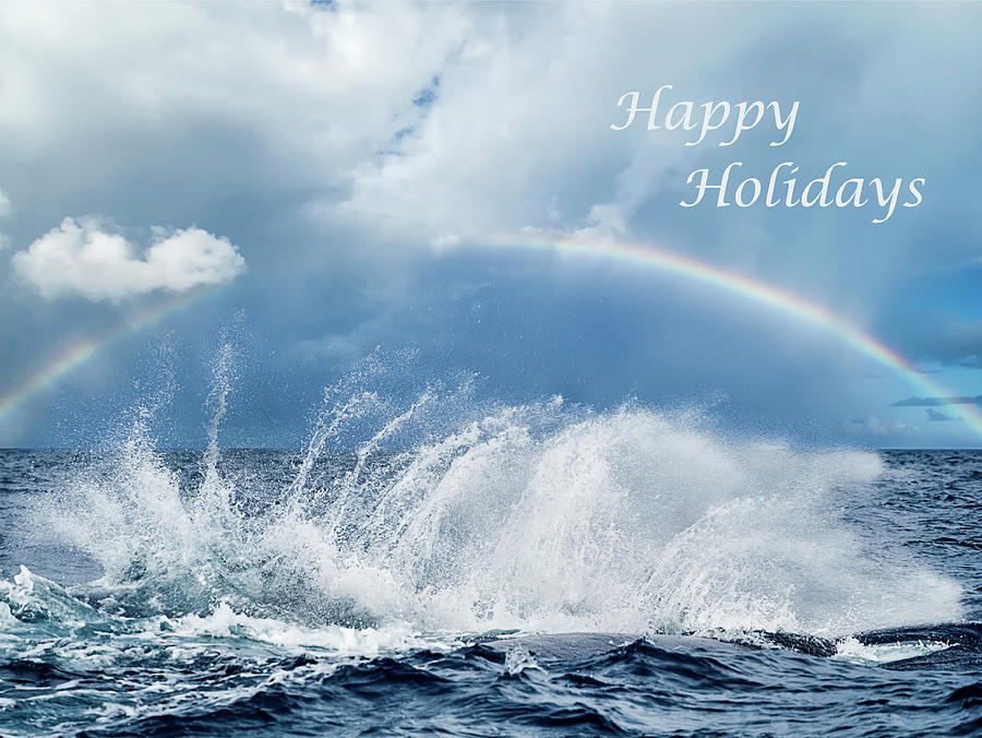 Holiday Card Resounding Joy Photograph by Louise Lindsay