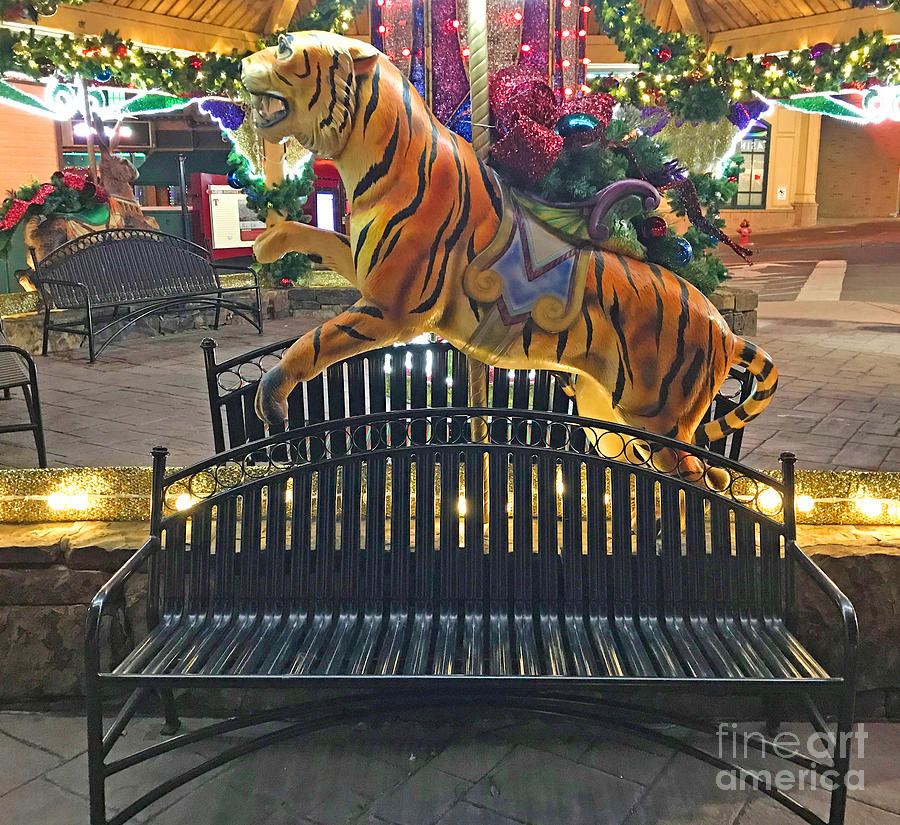 Holiday Gazebo Tiger Photograph by Steven Parker