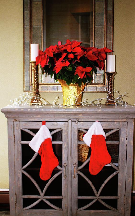 Holiday Indoor Display Photograph by Cynthia Guinn