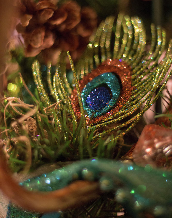 Holiday Peacock Feather Photograph by Amy Sorvillo