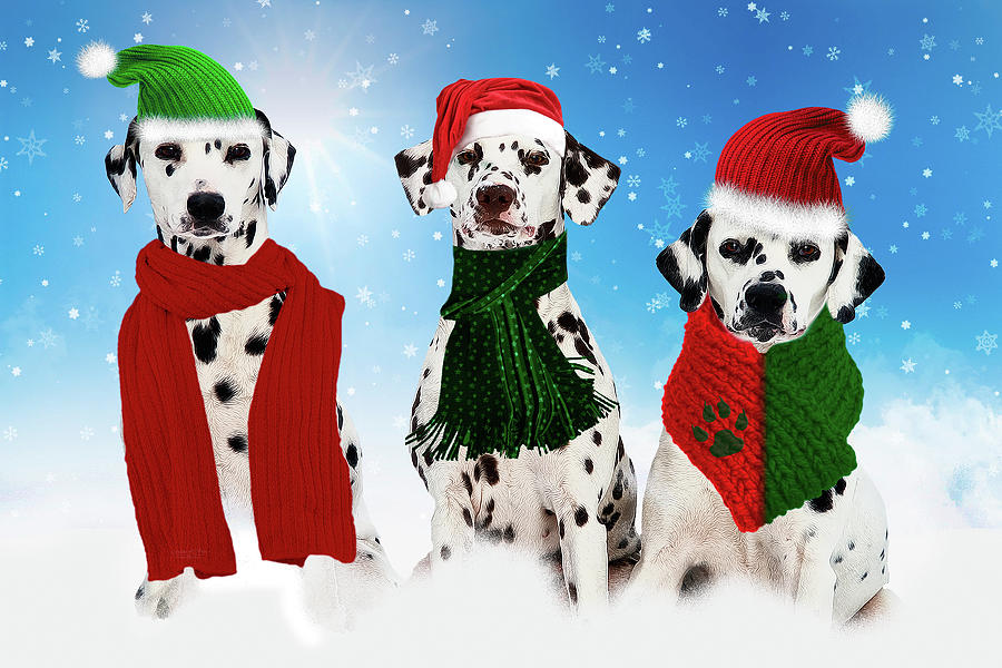 Holiday Snow Dogs Digital Art by Doreen Erhardt
