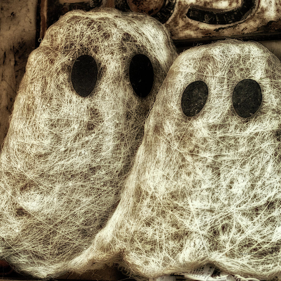 Holiday Time Halloween Ghosts SQ Format Photograph by Thomas Woolworth