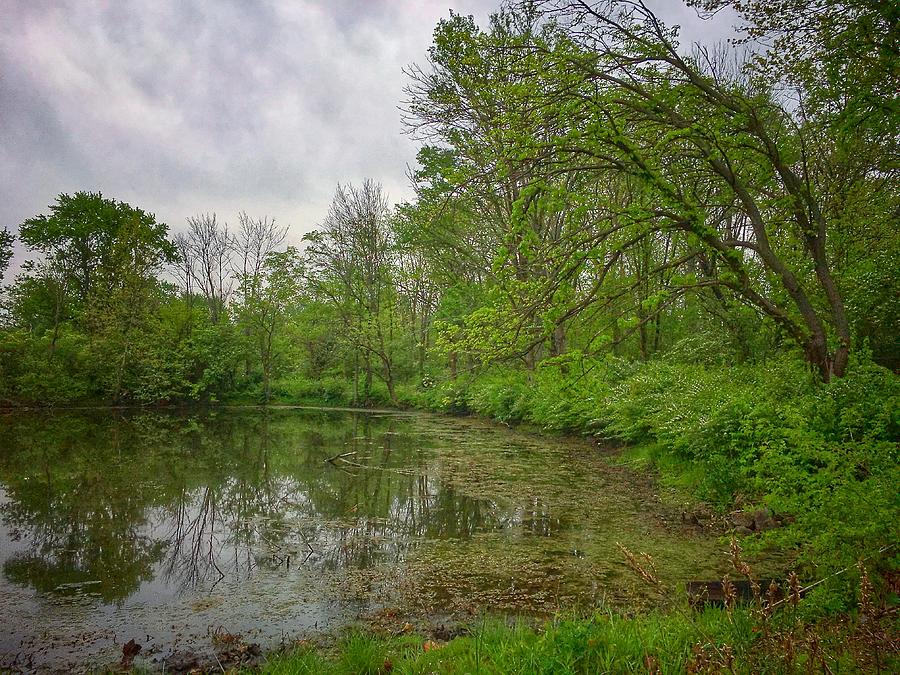 Holladay Nature Preserve Photograph by Dan Miller