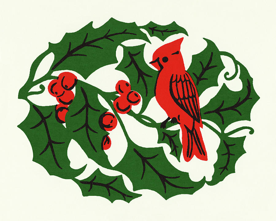 Cardinal Drawing - Holly Berries, Leaves, and a Cardinal by CSA Images