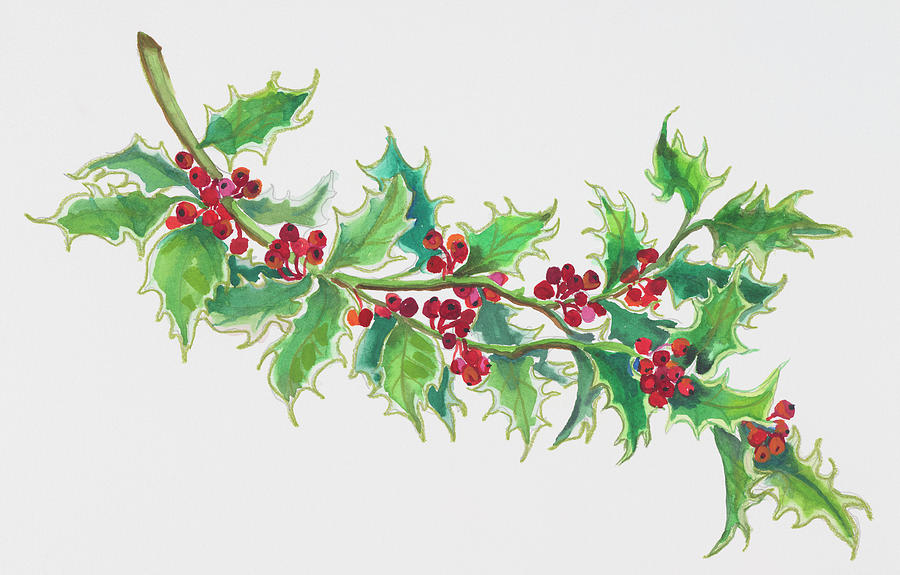 Holly Painting - Holly by Joanne Porter