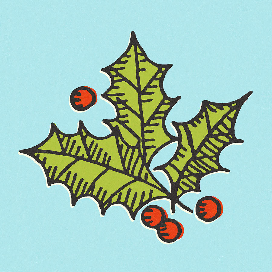 Christmas Drawing - Holly Leaves and Berries by CSA Images