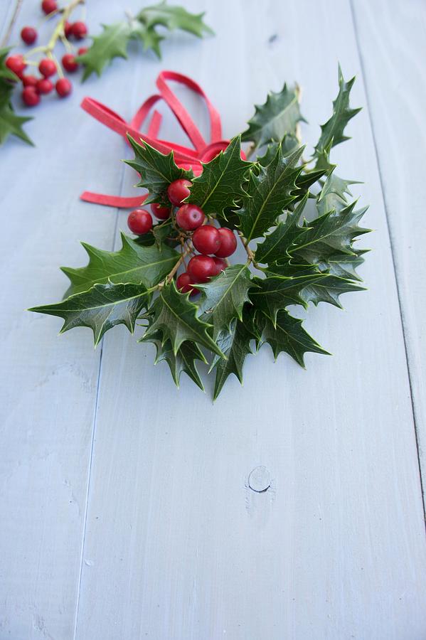 Holly Sprigs With Berries And Leather Ribbon christmas Decoration Photograph by Martina Schindler