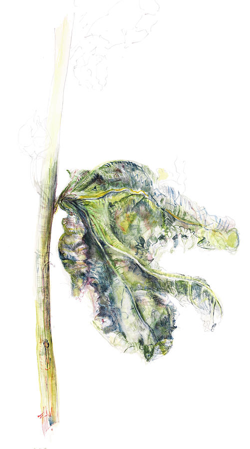 Hollyhock leaf Painting by Gloria Newlan