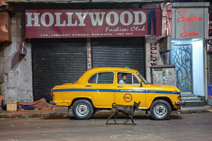Hollywood Photograph - Hollywood, Yellow Cab And Dog by Garik