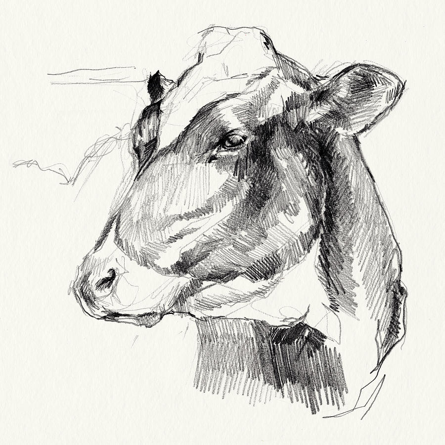 Holstein Portrait Sketch II Painting by Jennifer Paxton Parker - Fine ...