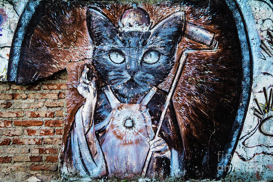 Holy cat, wall painting in Bariloche, Argentina Photograph by Lyl Dil Creations