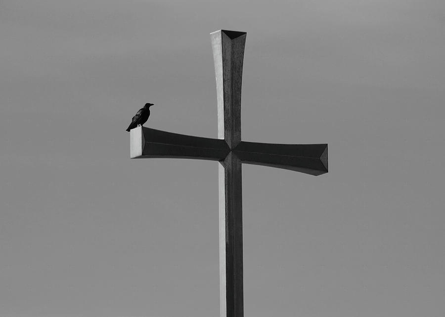 Holy Crow Photograph by Robert Wilder Jr