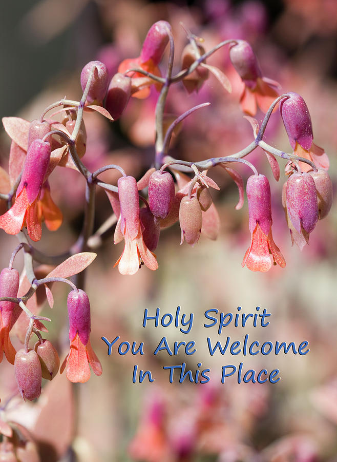 Holy Spirit You Are Welcome In This Place Photograph by Kathy Clark