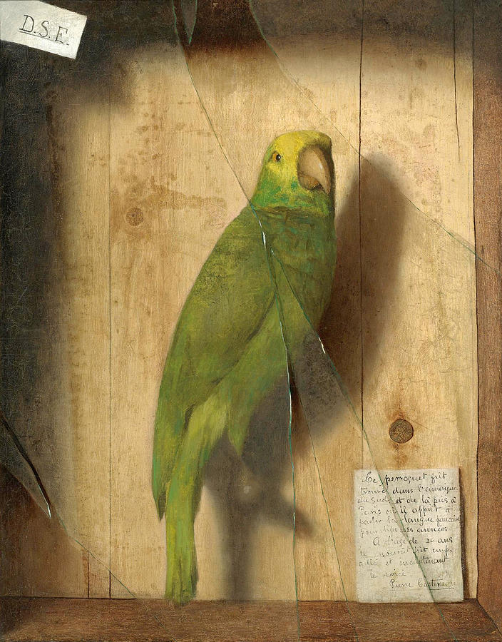 Homage to a Parrot Painting by De Scott Evans