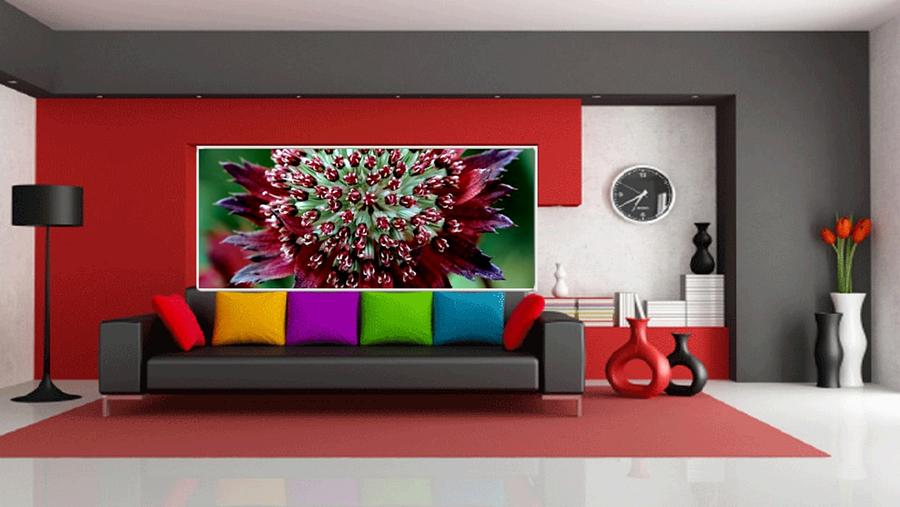 Home Decor Room by Sheila Mcdonald Home Decor Room by Sheila Mcdonald