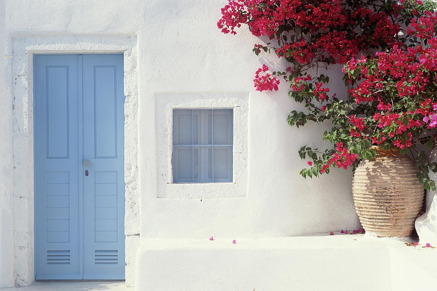 Home Exterior With Blue Door & Flowers Photograph by Joanna Mccarthy