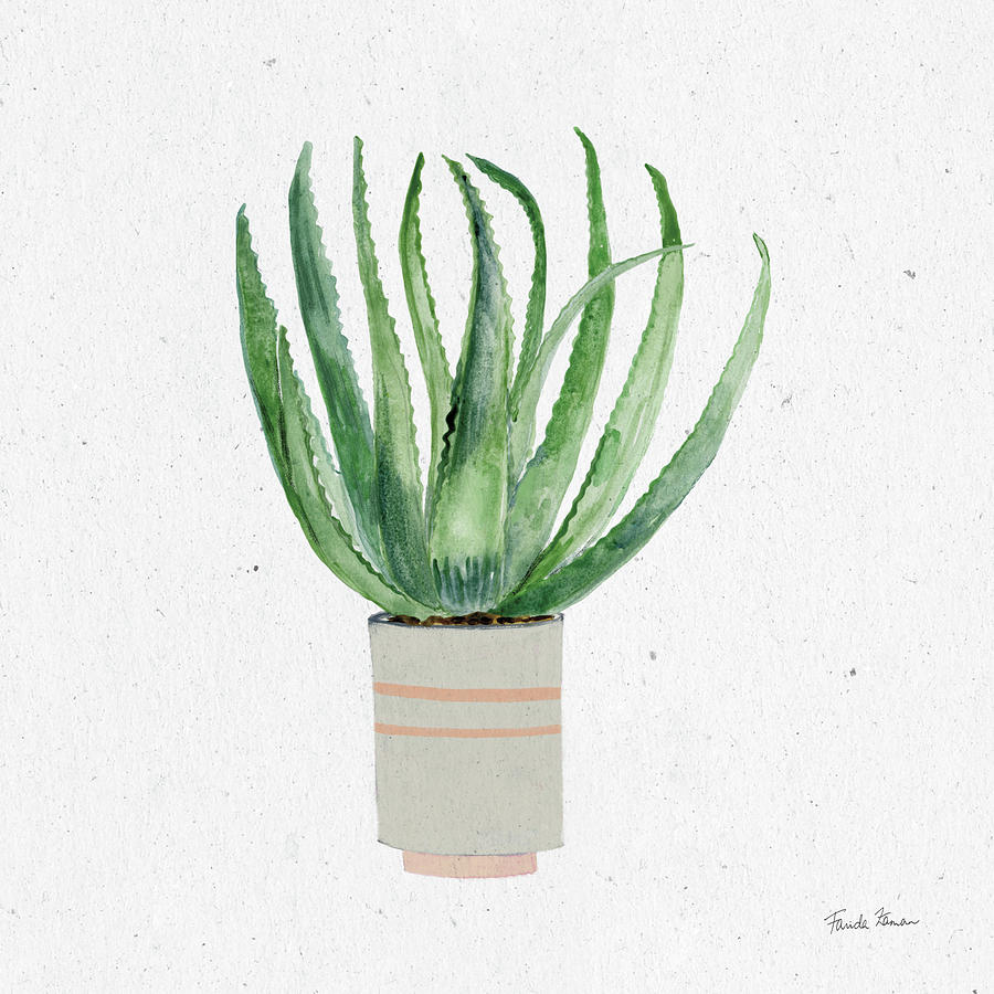 Aloe Painting - Home Garden I by Farida Zaman