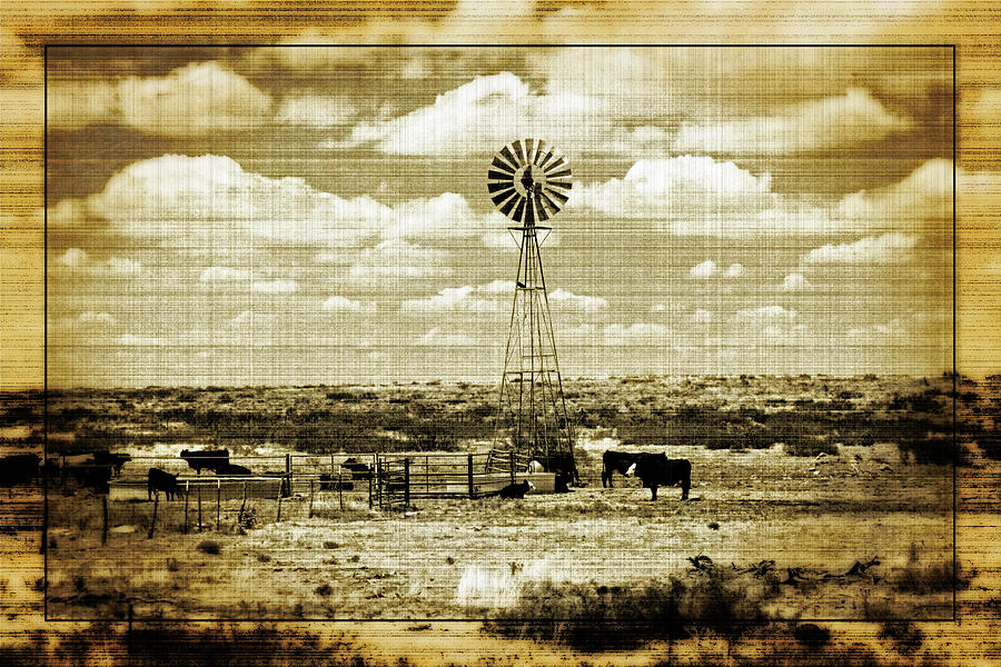 Home, Home on the Range by Tikvah's Hope Home, Home on the Range by Tikvah's Hope