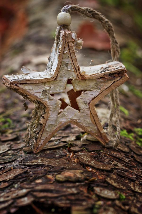 Home-made Christmas Star Stood On Tree Trunk Photograph by Uwe Merkel