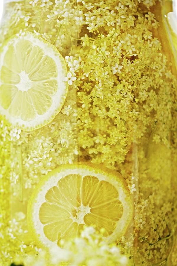Home-made Elderflower Juice With Slices Of Lemon In A Storage Jar Photograph by Lehmann, Herbert