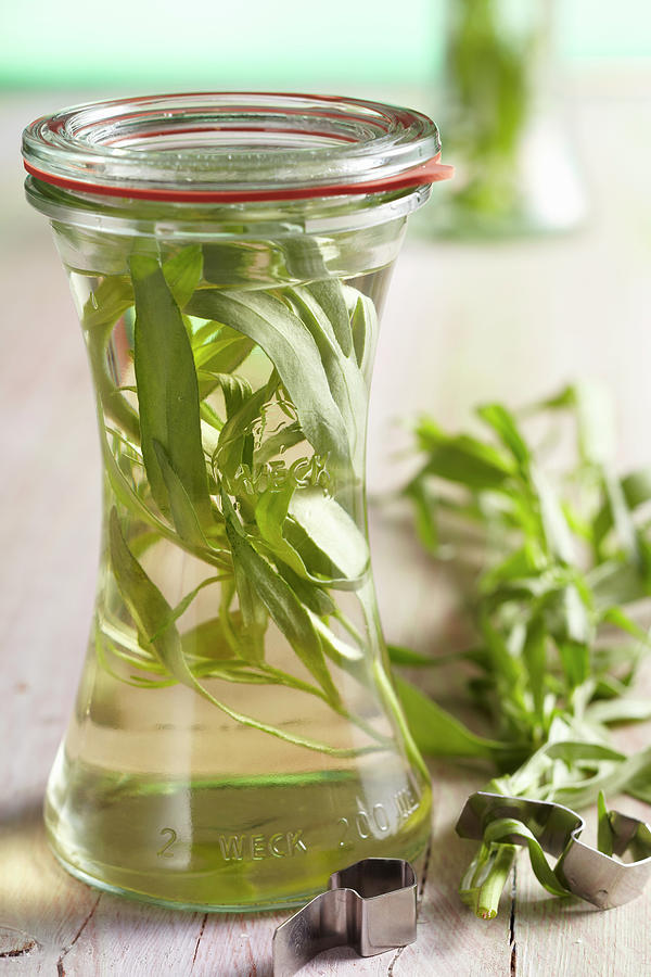 Home-made Tarragon Vinegar Photograph by Teubner Foodfoto