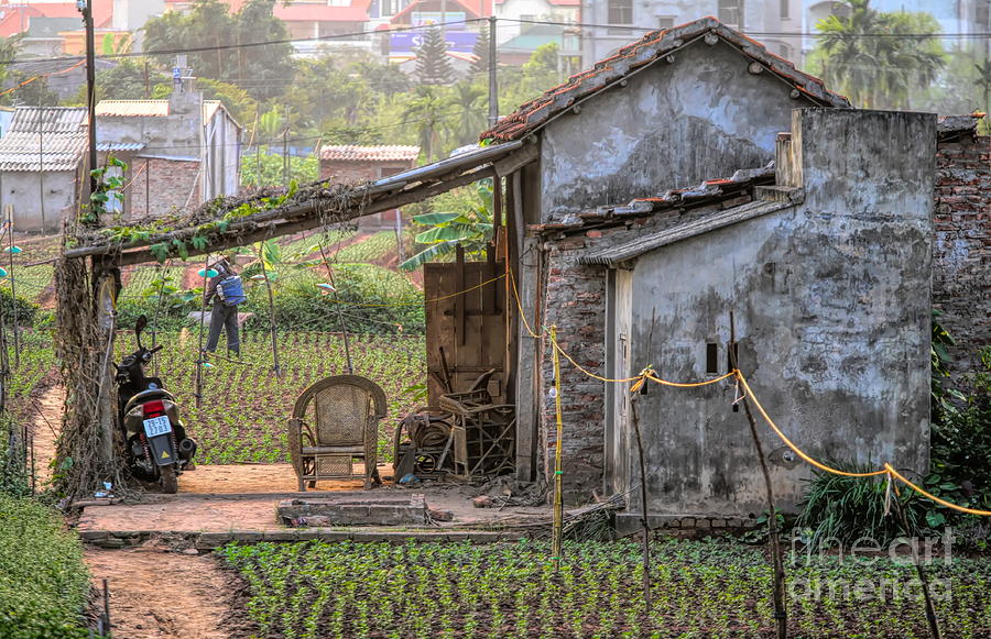 Home Nested in Garden Hanoi  Photograph by Chuck Kuhn