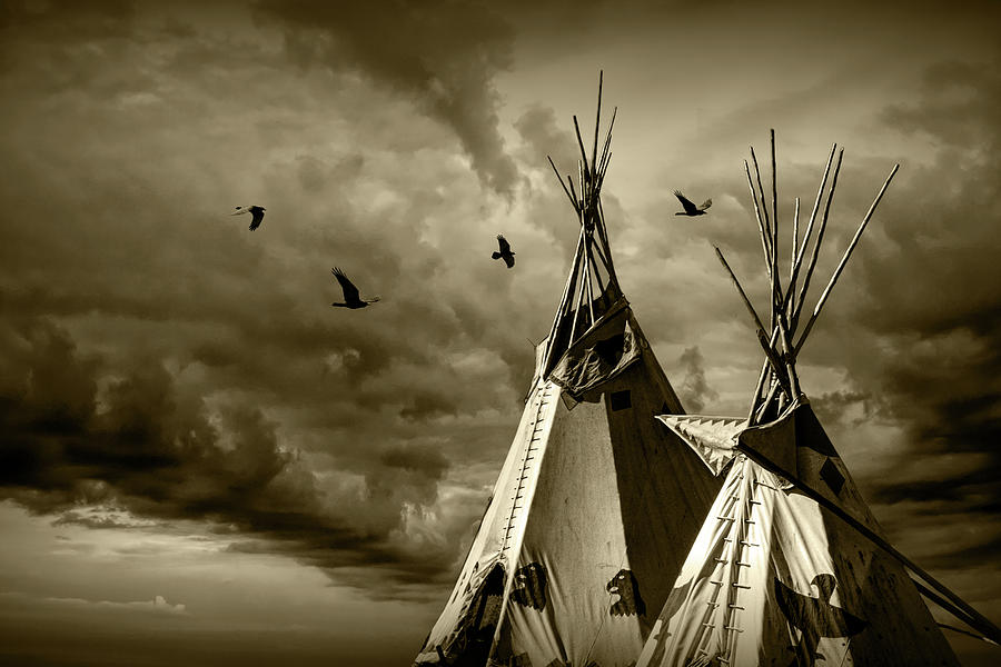 Home of the Children of the Large Beaked Bird in Sepia Tone Photograph by Randall Nyhof