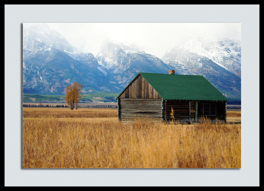 Yellowstone National Park Photograph - Home on the Range by Pete Federico Yellowstone National Park Photograph - Home on the Range by Pete Federico